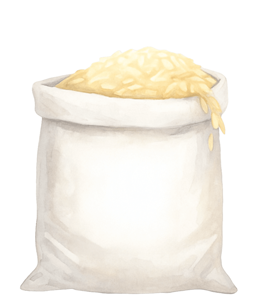 Bag of rice illustration