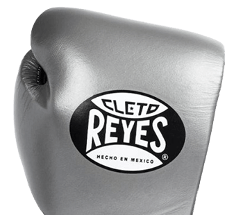 Grey Cleto Reyes boxing glove