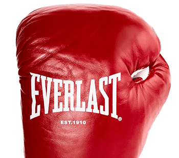Red Everlast boxing glove